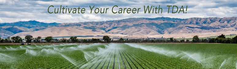 Cultivate a Great Career with TDA!