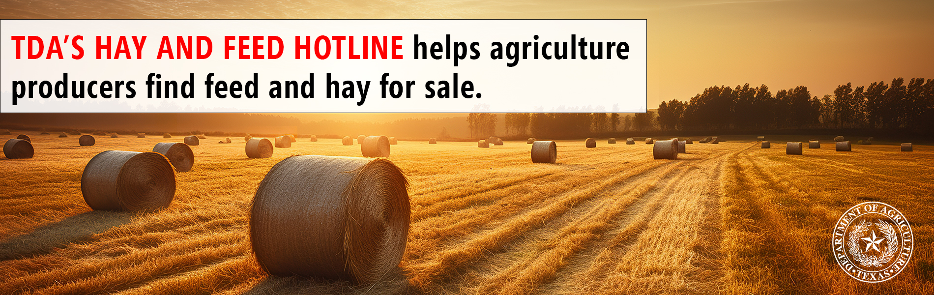 HAY HOTLINE WEBSITE