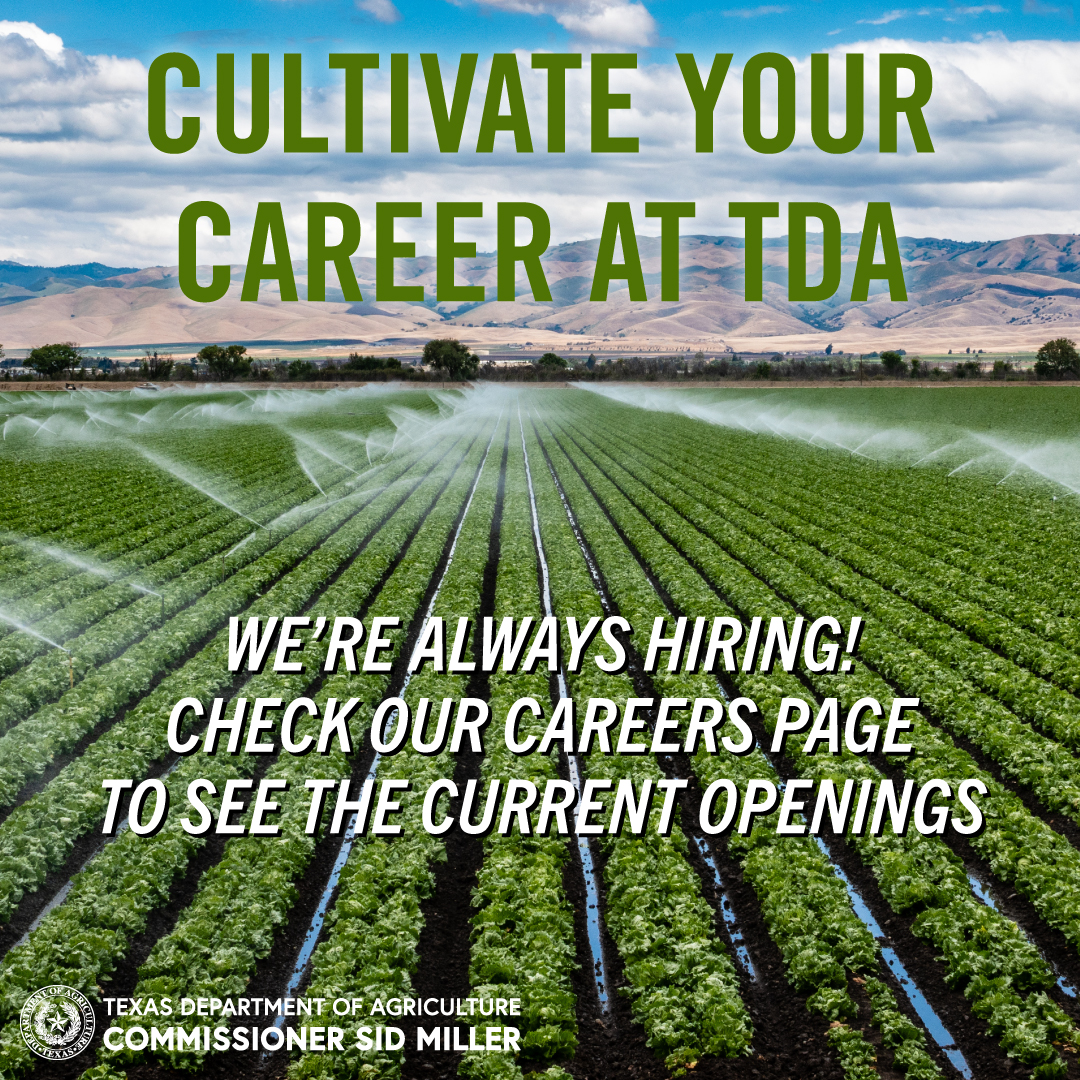 Text: "Cultivate Your Career at TDA. We're always hiring! Check our Careers Page to see the current job openings." Background: green field of young plants being irrigated. Mountains and the blue sky can be seen in the distance.
