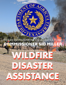 WILD-FIRE-ASSISTANCE