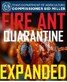 Fire Ant Quarantine Expanded by Texas Agriculture Commissioner Sid Miller